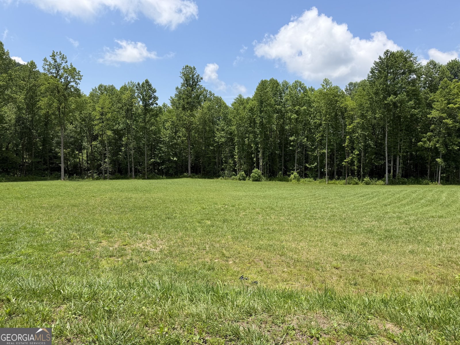 1449 Muskrat Creek Road Hayesville - Photo 104
