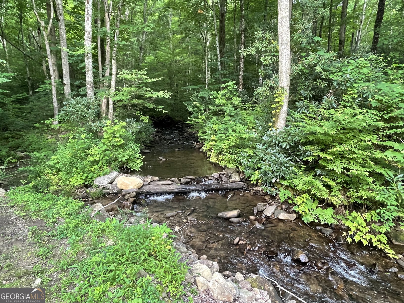 1449 Muskrat Creek Road Hayesville - Photo 41