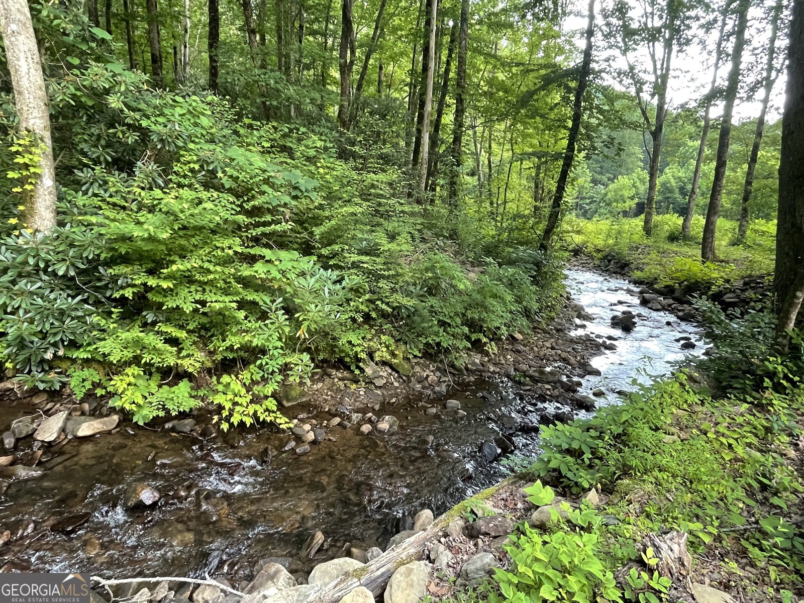 1449 Muskrat Creek Road Hayesville - Photo 42