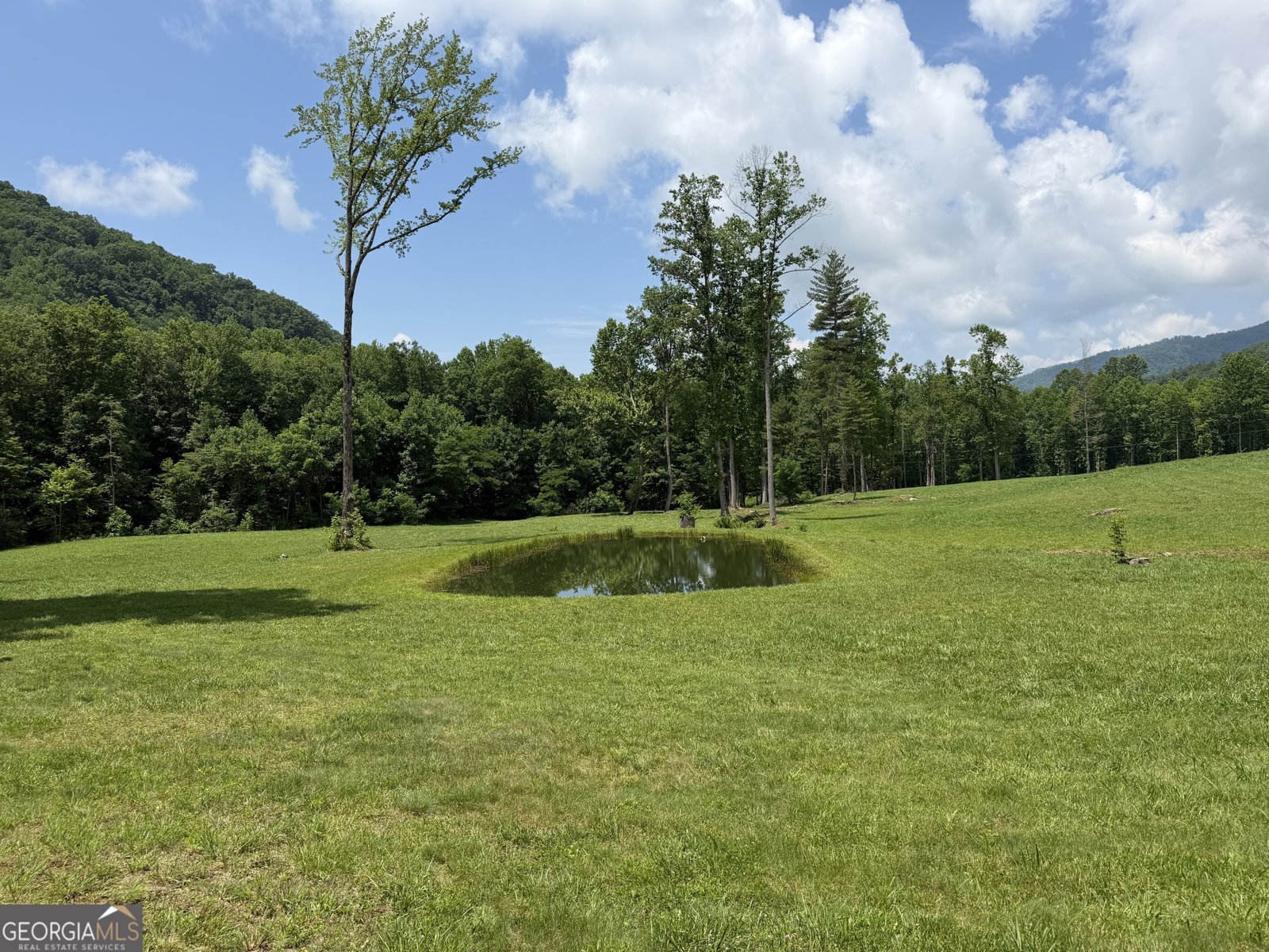 1449 Muskrat Creek Road Hayesville - Photo 54