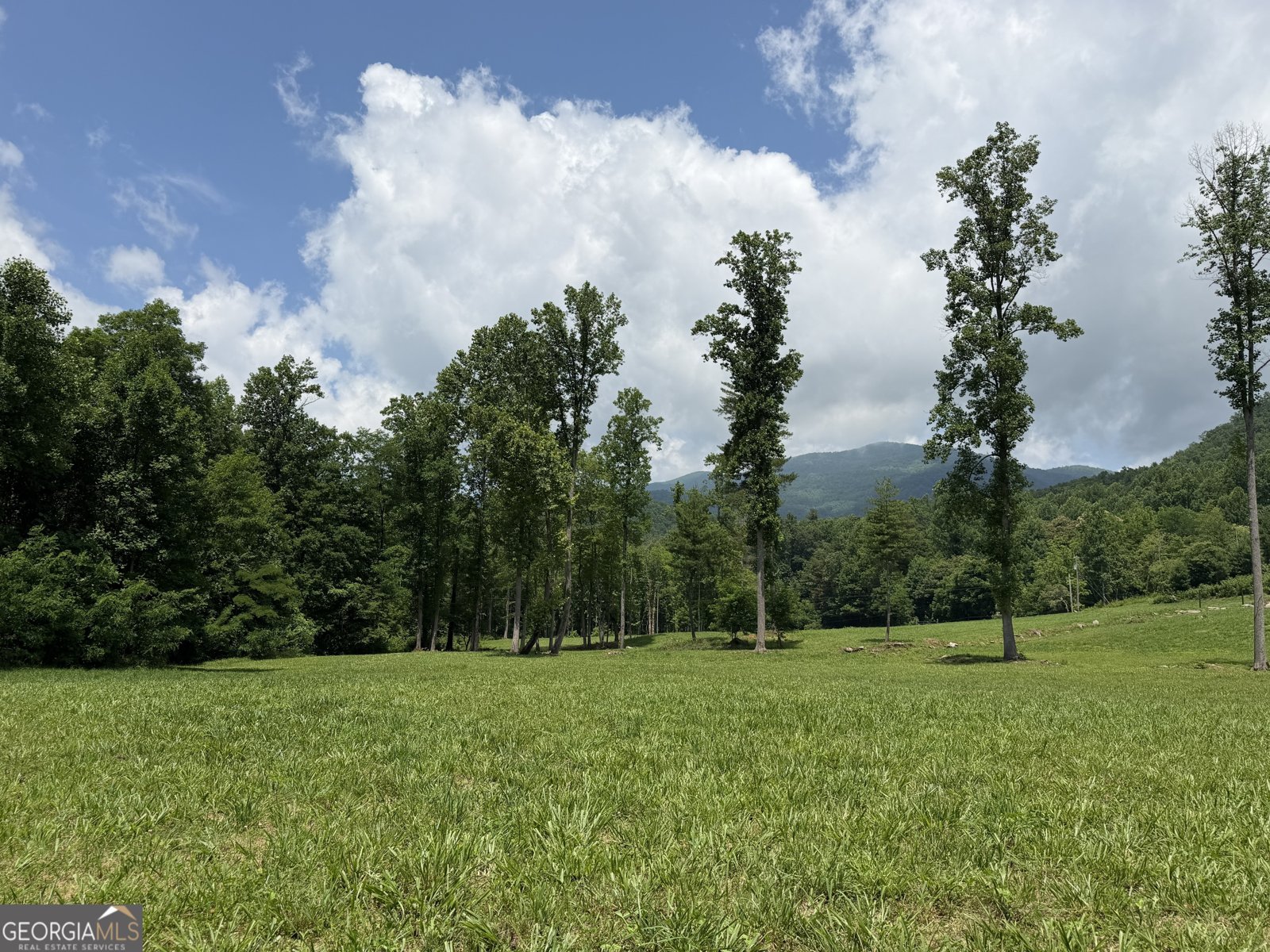 1449 Muskrat Creek Road Hayesville - Photo 61