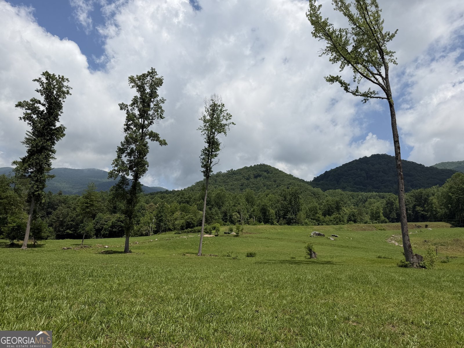1449 Muskrat Creek Road Hayesville - Photo 62