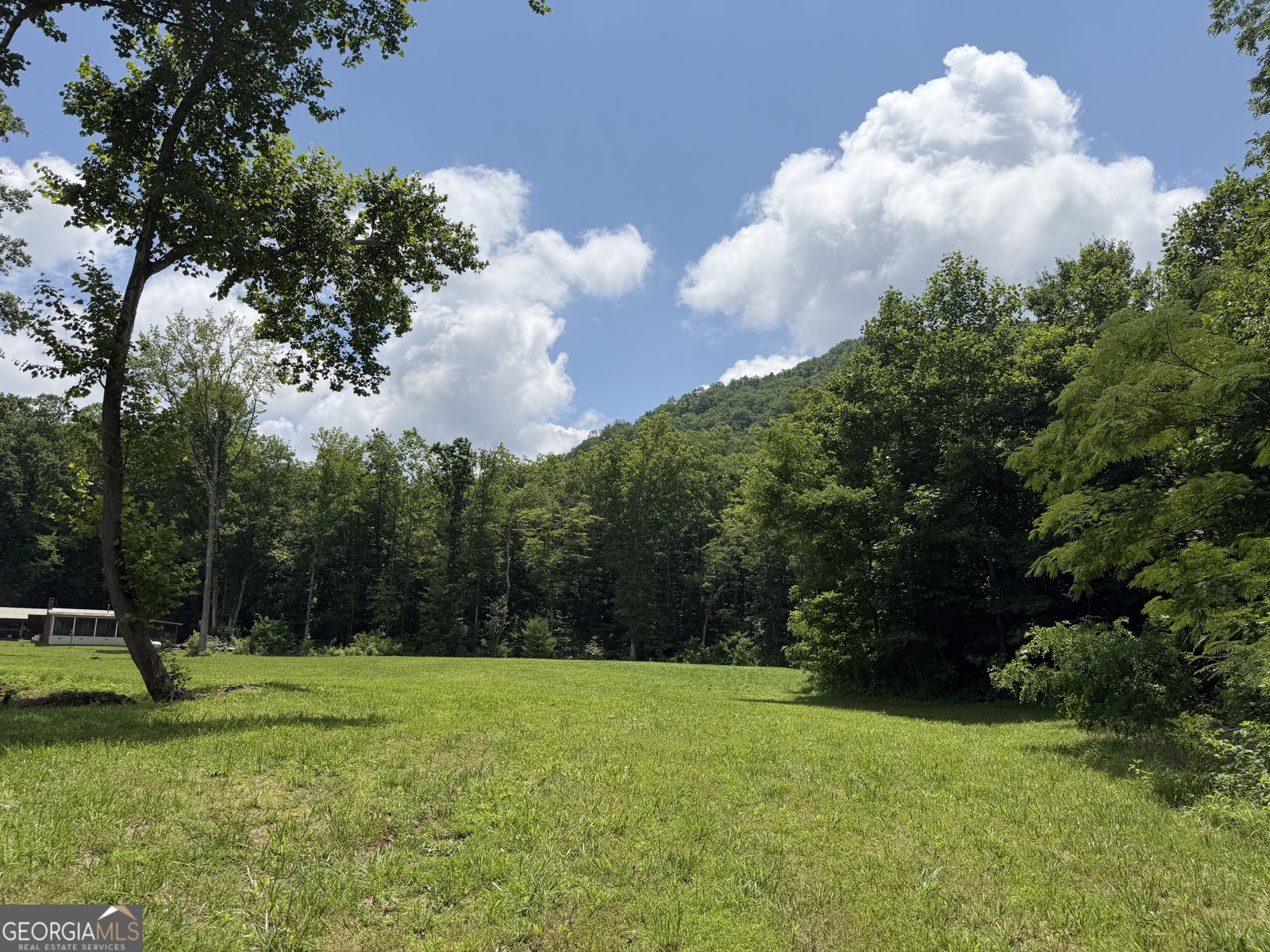 1449 Muskrat Creek Road Hayesville - Photo 63