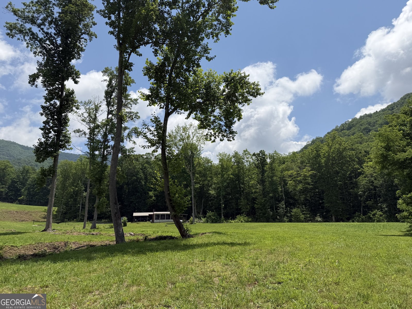 1449 Muskrat Creek Road Hayesville - Photo 64