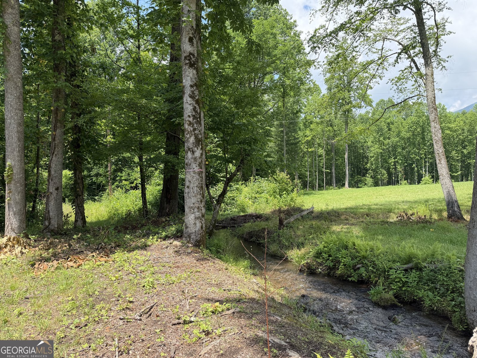 1449 Muskrat Creek Road Hayesville - Photo 68