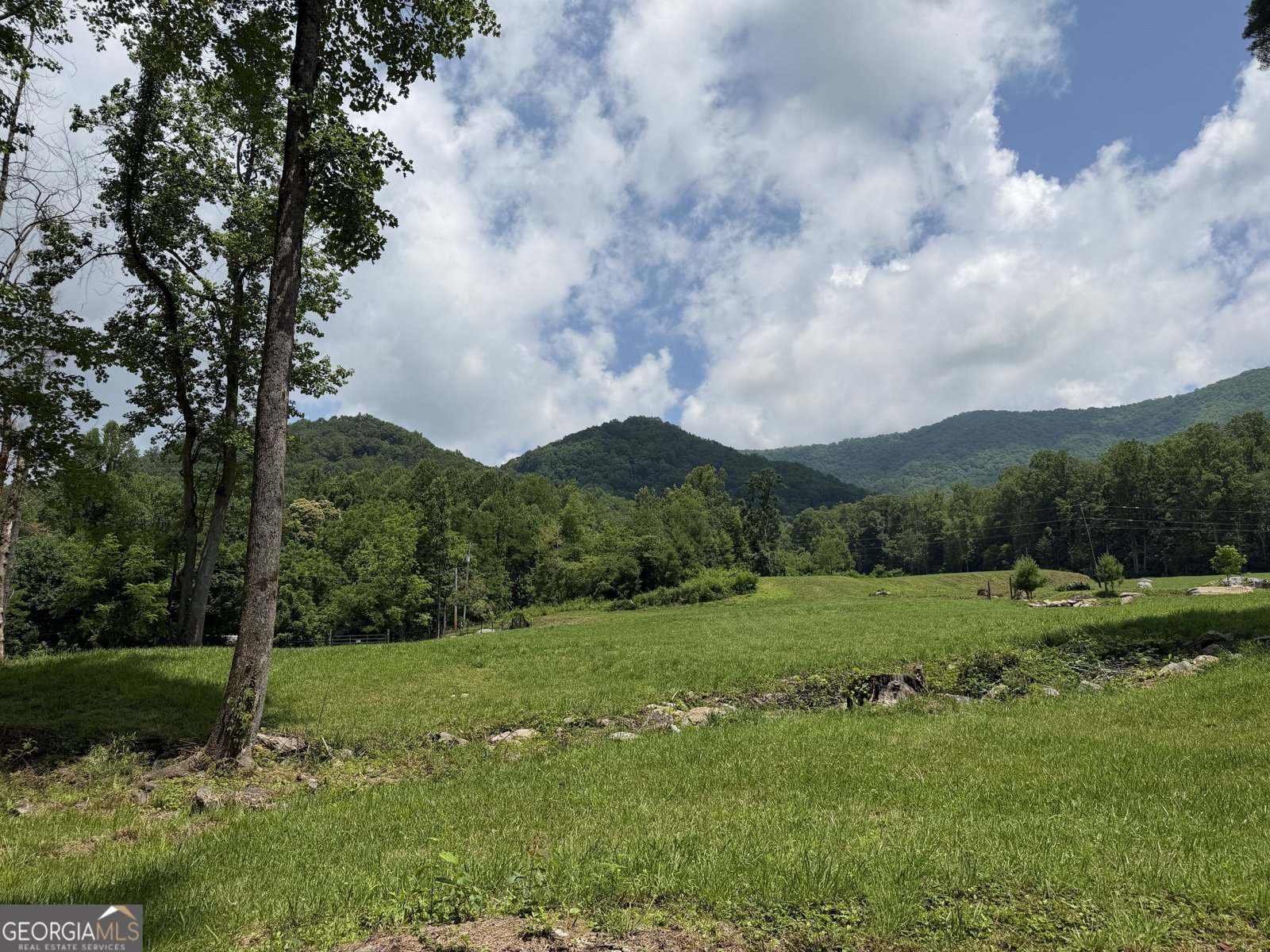 1449 Muskrat Creek Road Hayesville - Photo 69