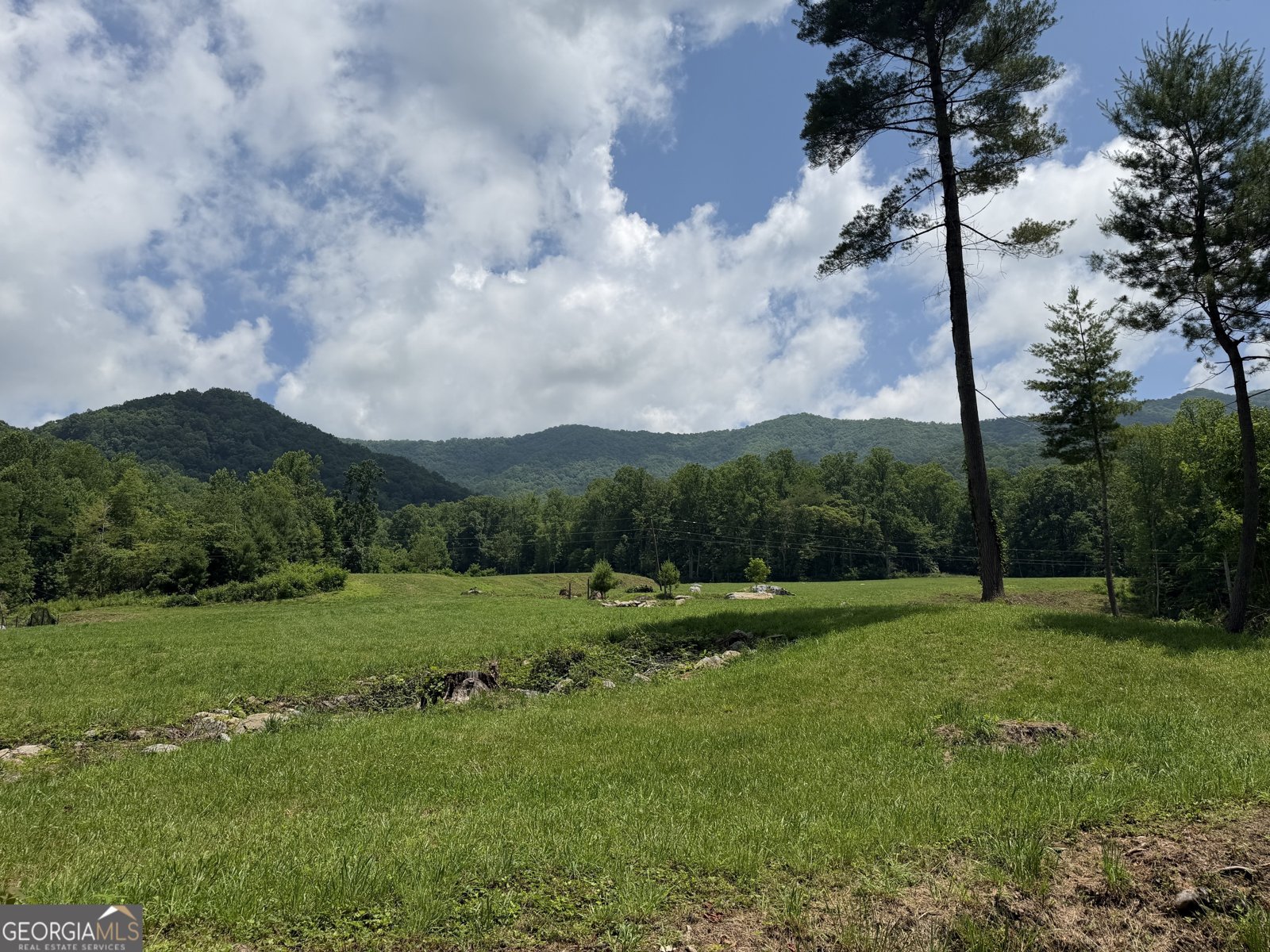 1449 Muskrat Creek Road Hayesville - Photo 70