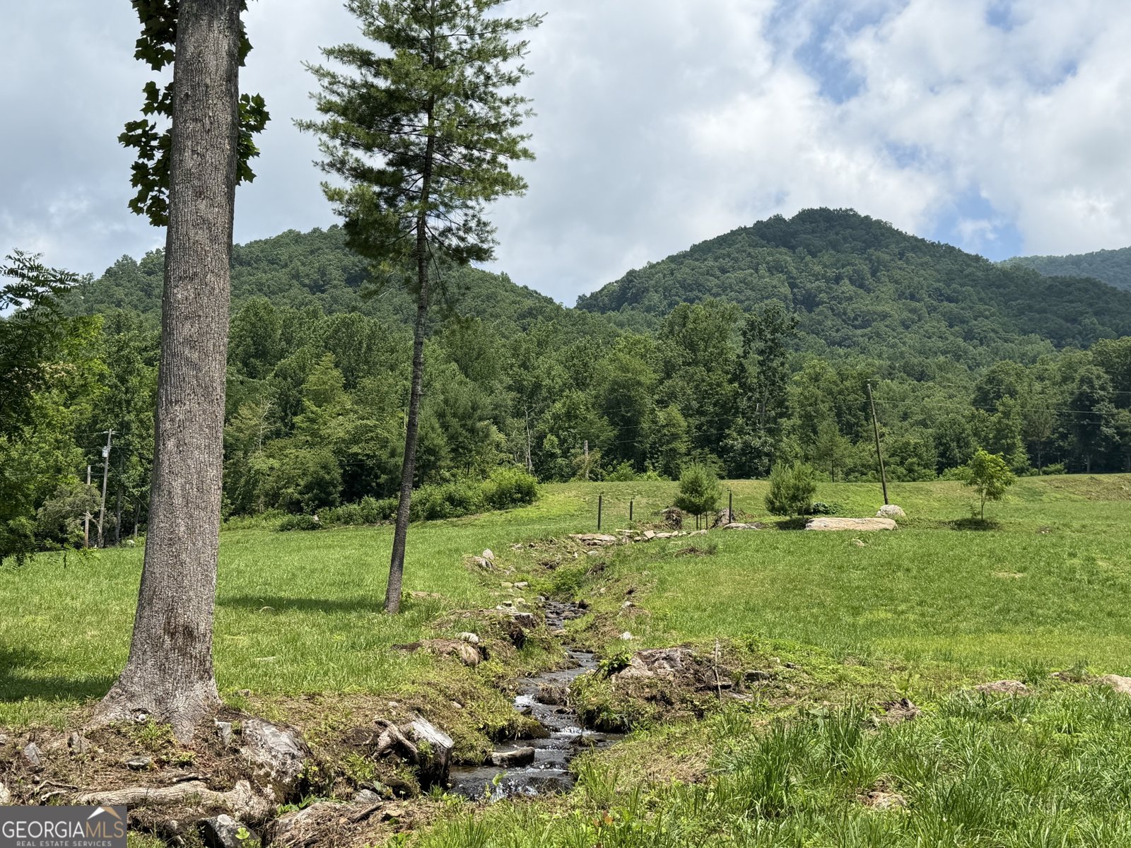 1449 Muskrat Creek Road Hayesville - Photo 71