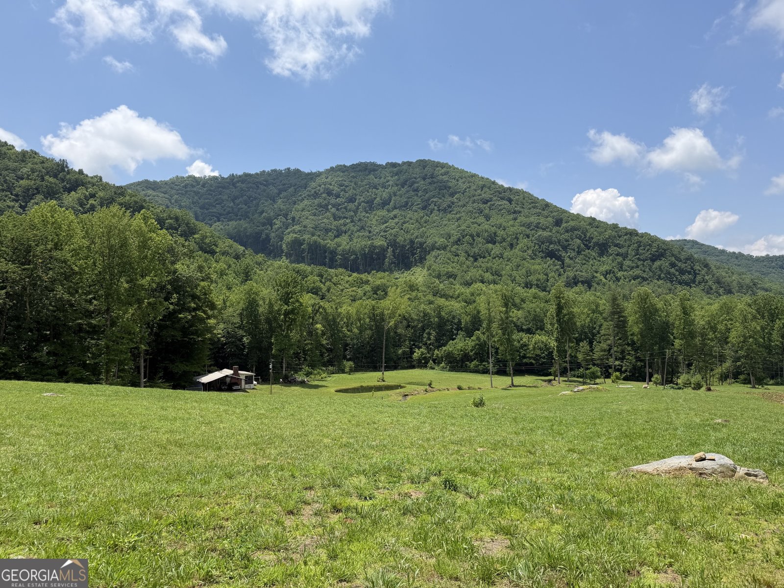 1449 Muskrat Creek Road Hayesville - Photo 75
