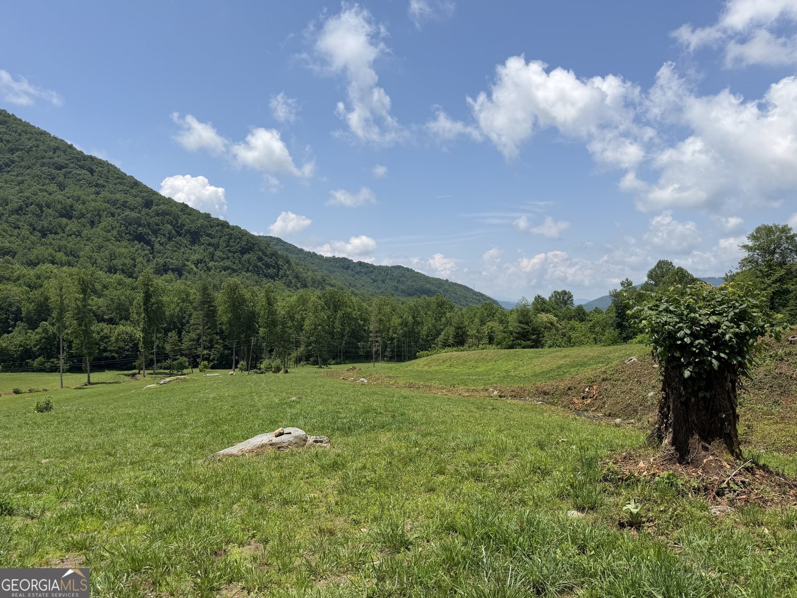 1449 Muskrat Creek Road Hayesville - Photo 76