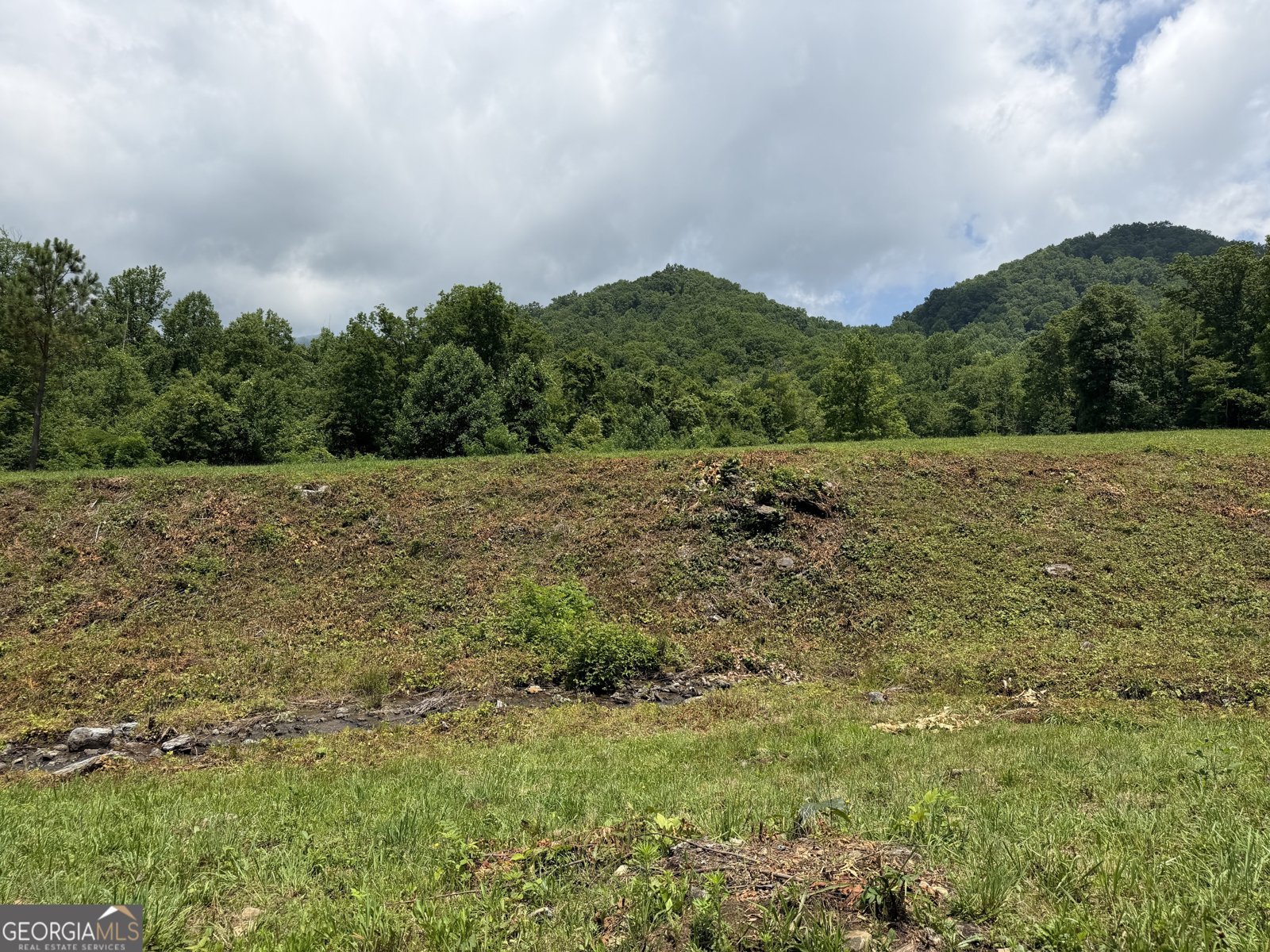 1449 Muskrat Creek Road Hayesville - Photo 77