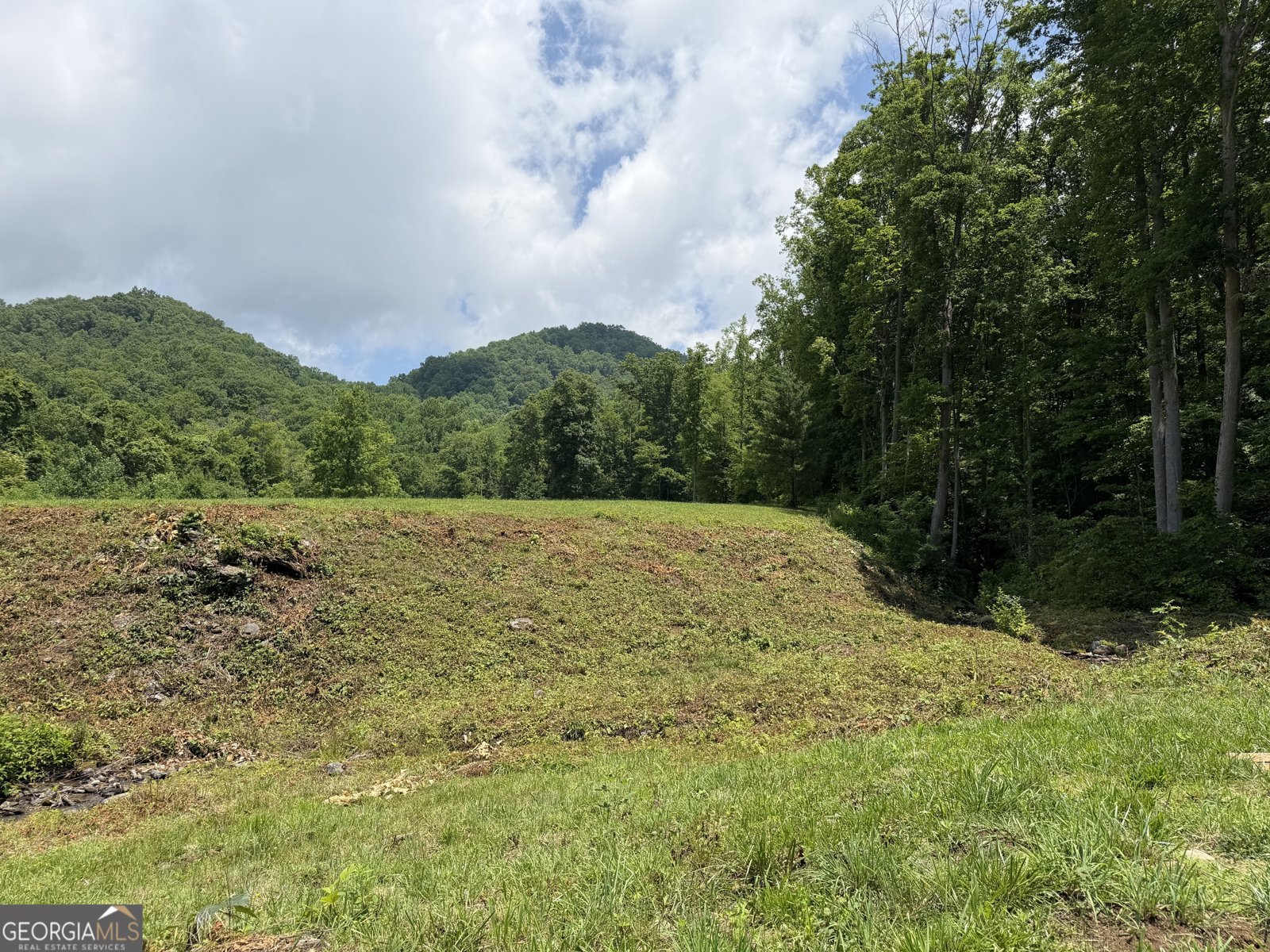 1449 Muskrat Creek Road Hayesville - Photo 78