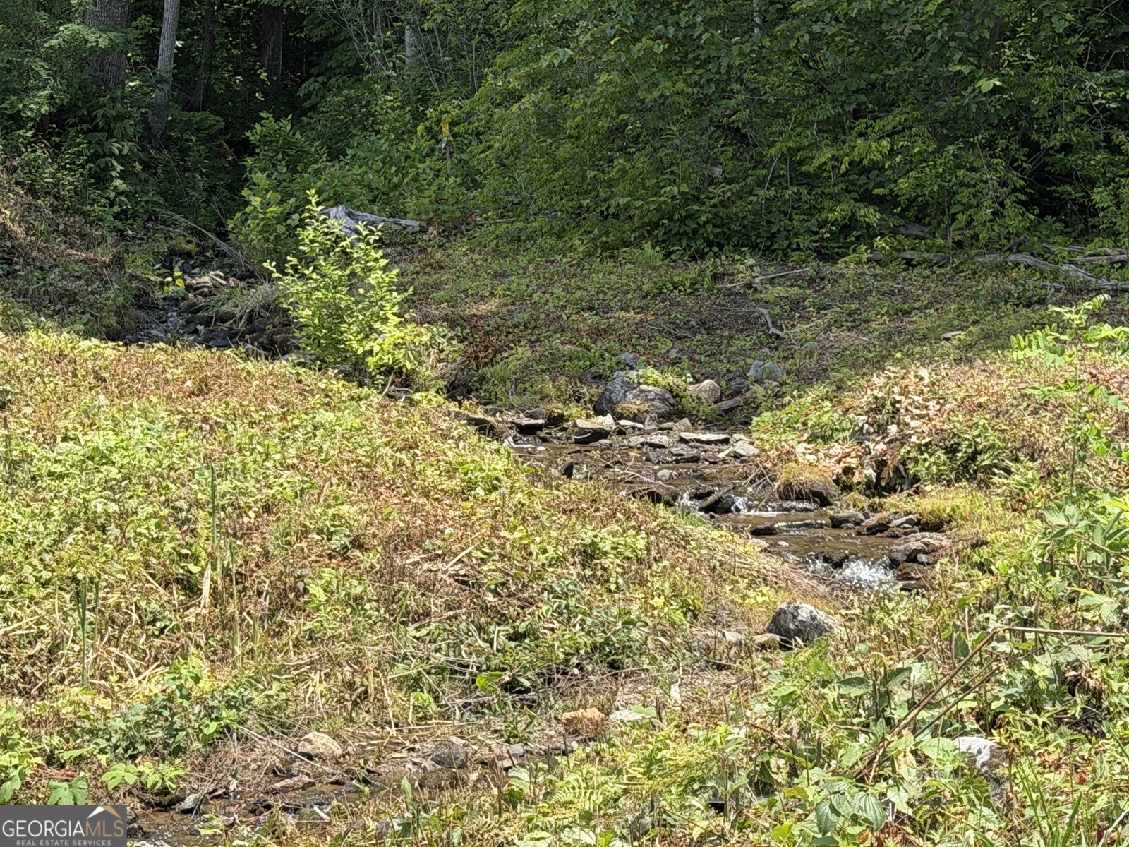 1449 Muskrat Creek Road Hayesville - Photo 79