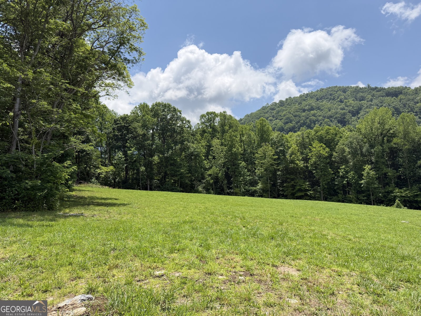 1449 Muskrat Creek Road Hayesville - Photo 80