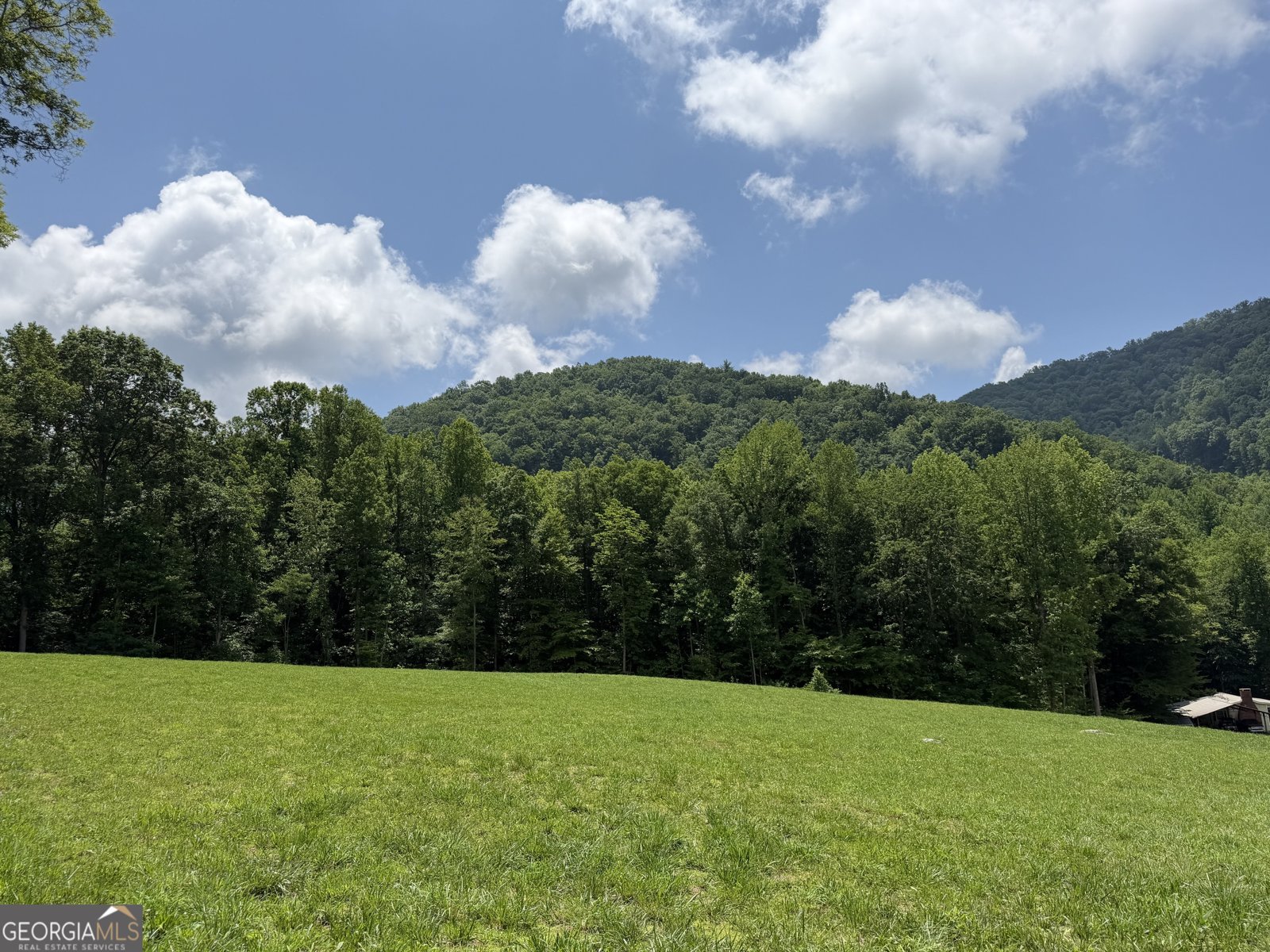 1449 Muskrat Creek Road Hayesville - Photo 81