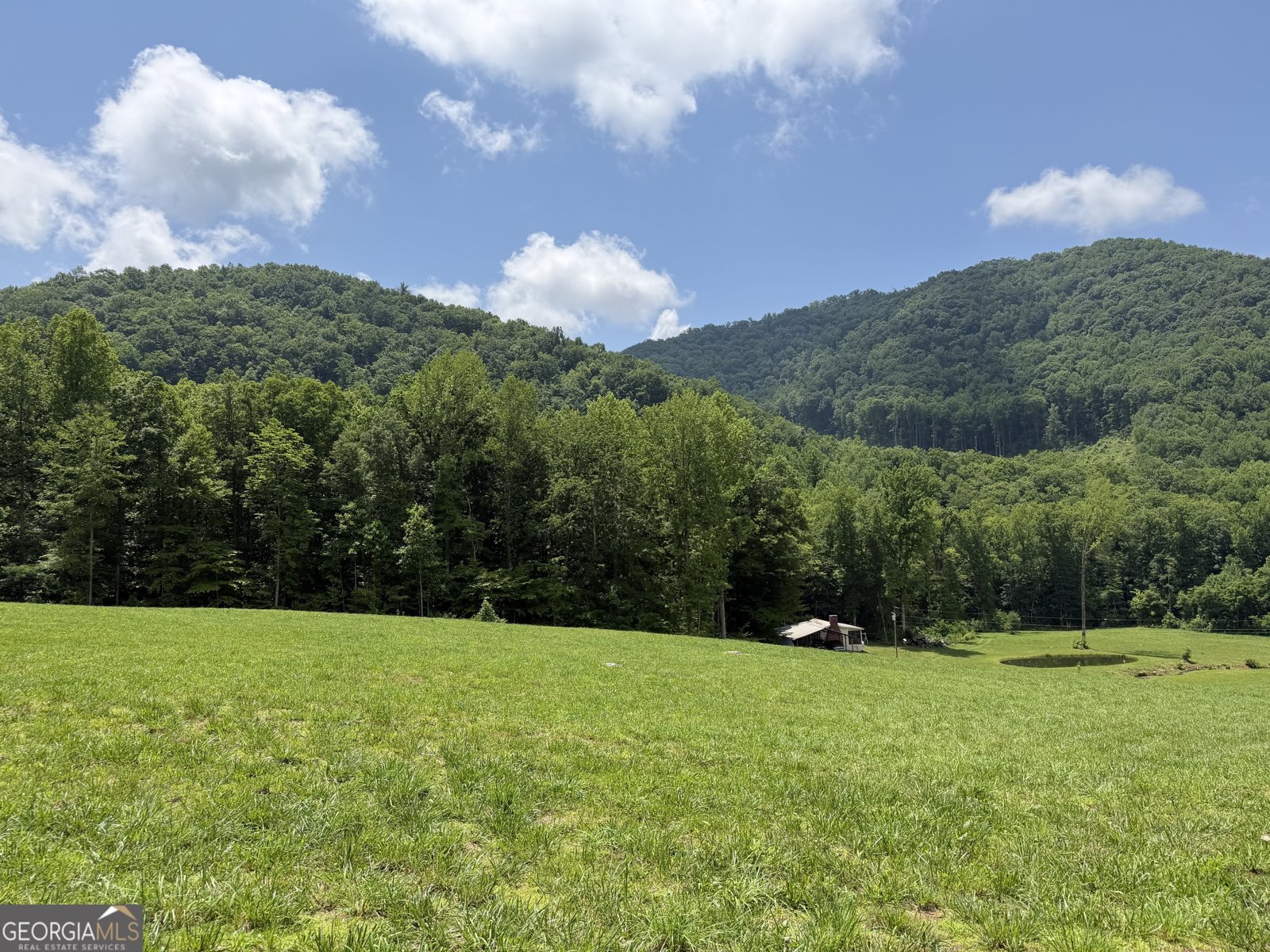 1449 Muskrat Creek Road Hayesville - Photo 82