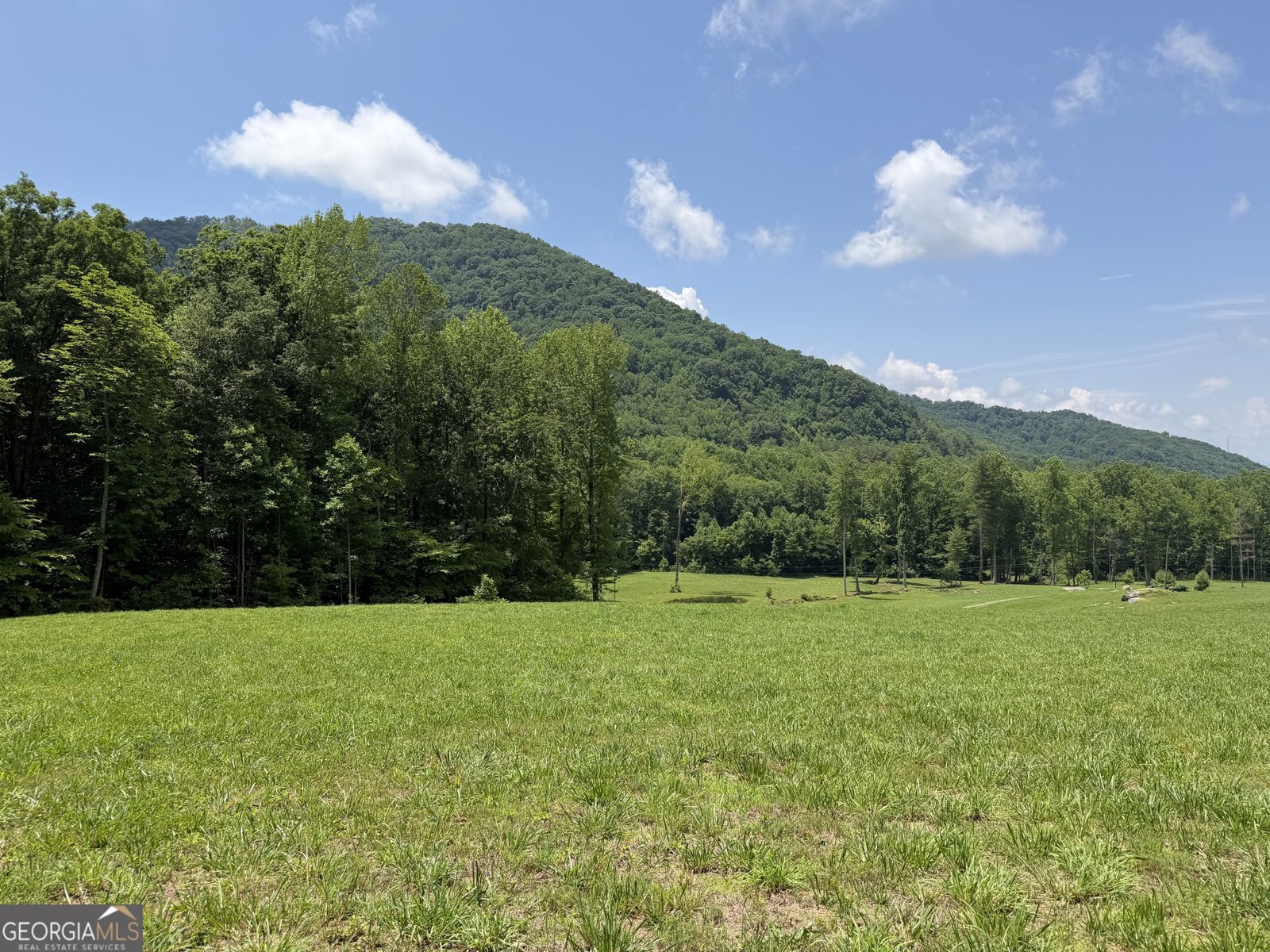 1449 Muskrat Creek Road Hayesville - Photo 84