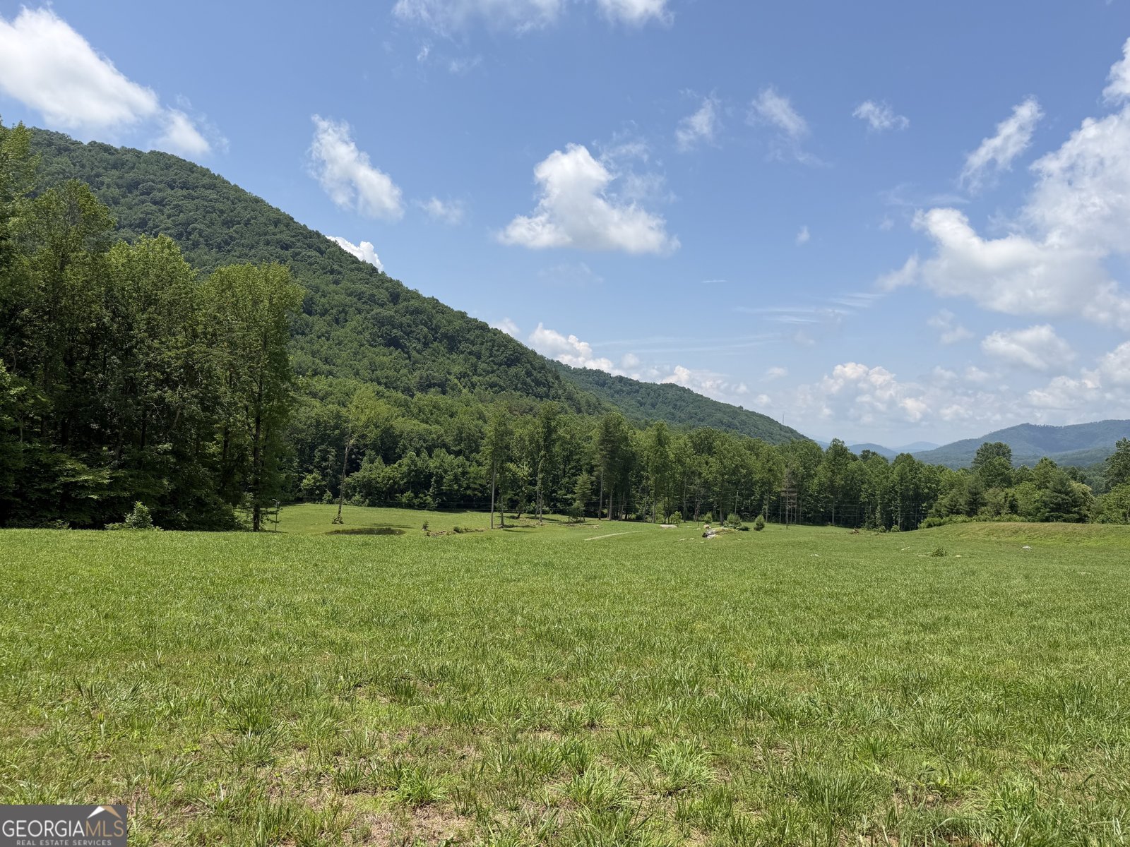 1449 Muskrat Creek Road Hayesville - Photo 85