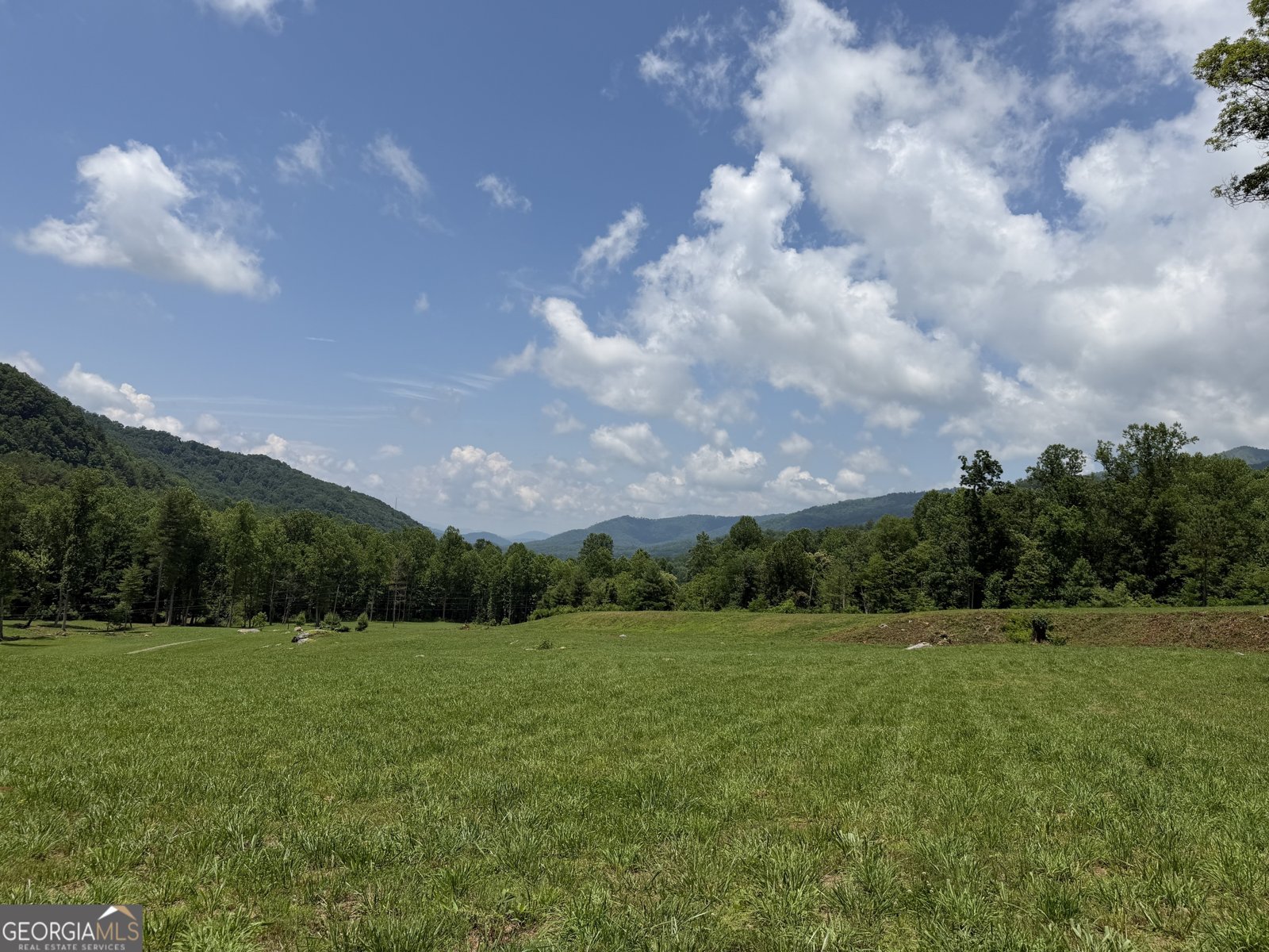 1449 Muskrat Creek Road Hayesville - Photo 86