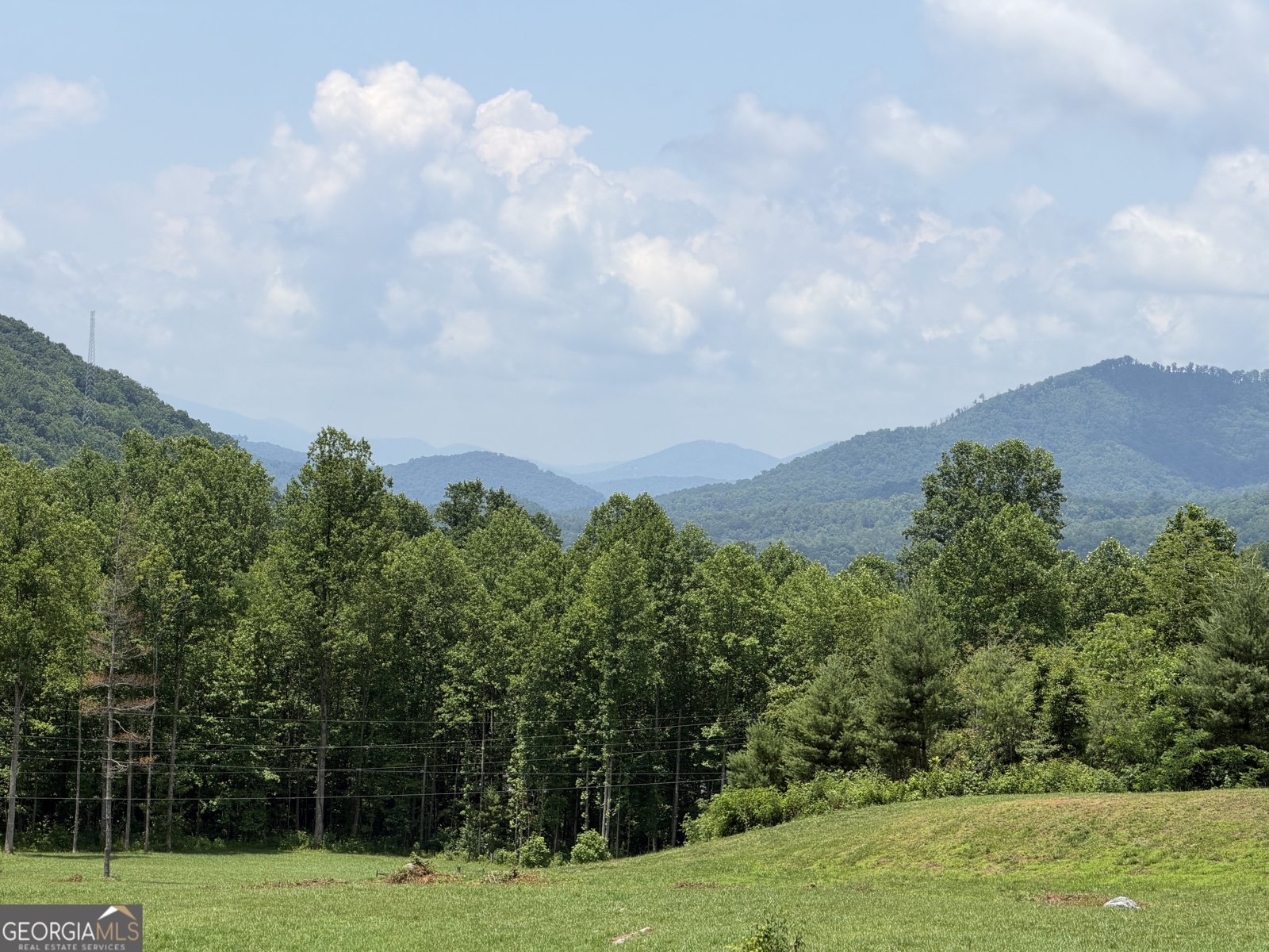 1449 Muskrat Creek Road Hayesville - Photo 87