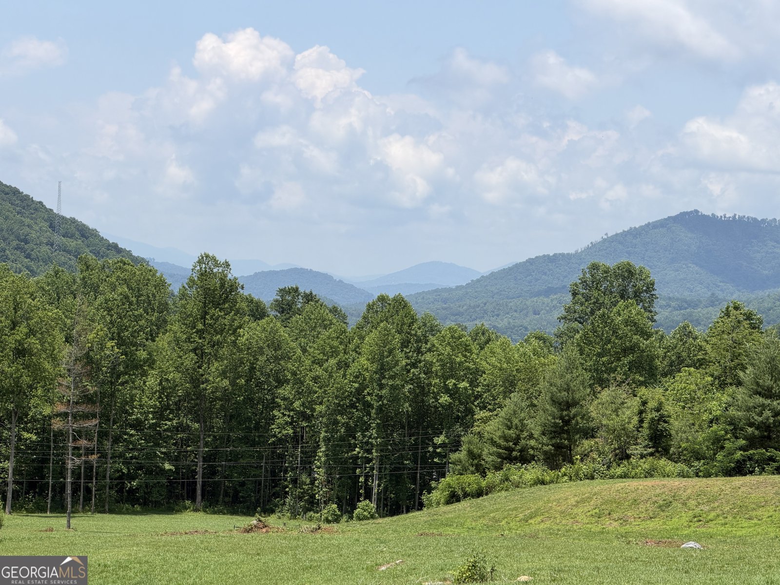 1449 Muskrat Creek Road Hayesville - Photo 88