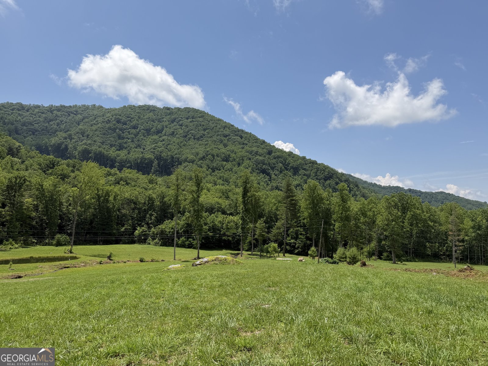1449 Muskrat Creek Road Hayesville - Photo 91