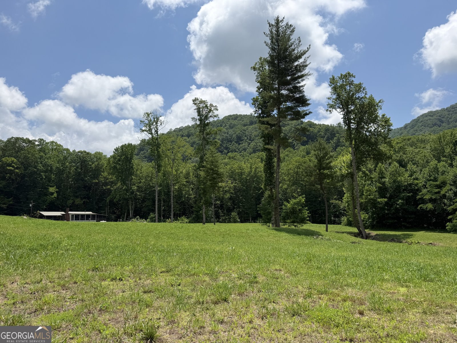 1449 Muskrat Creek Road Hayesville - Photo 96