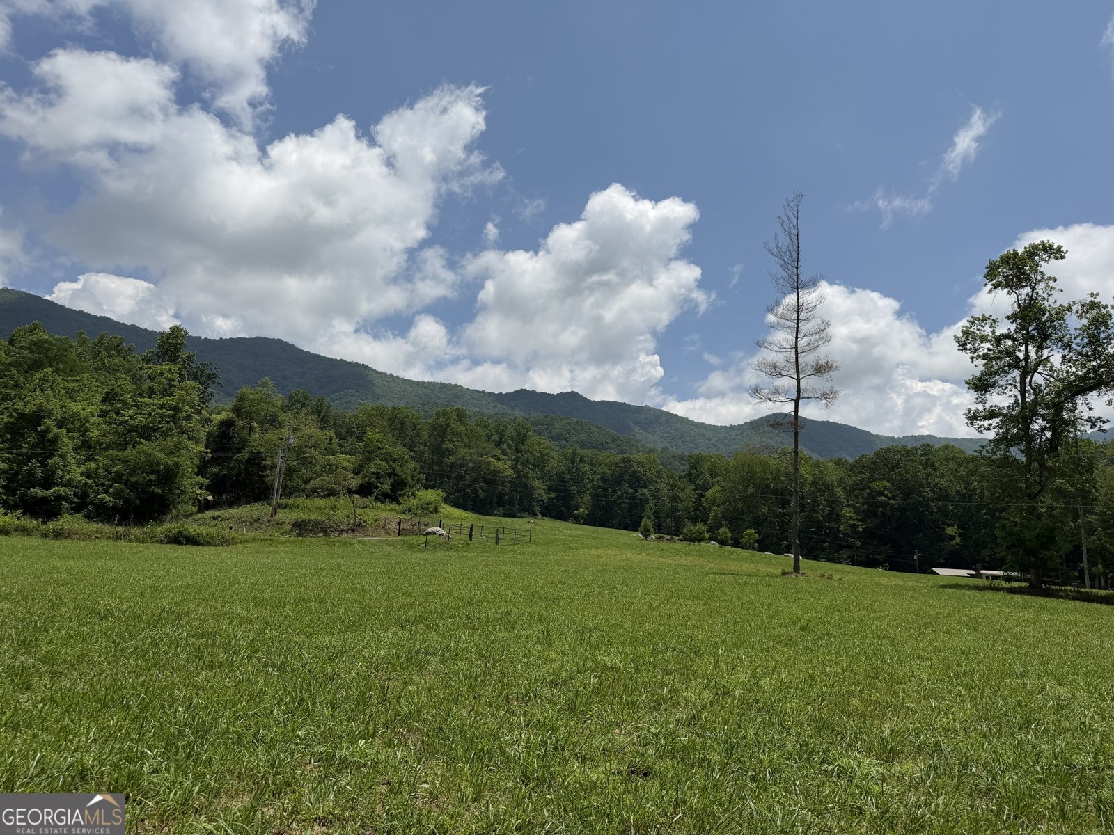 1449 Muskrat Creek Road Hayesville - Photo 97