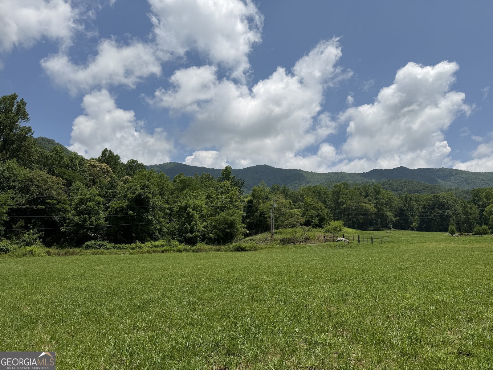 1449 Muskrat Creek Road Hayesville - Photo 98