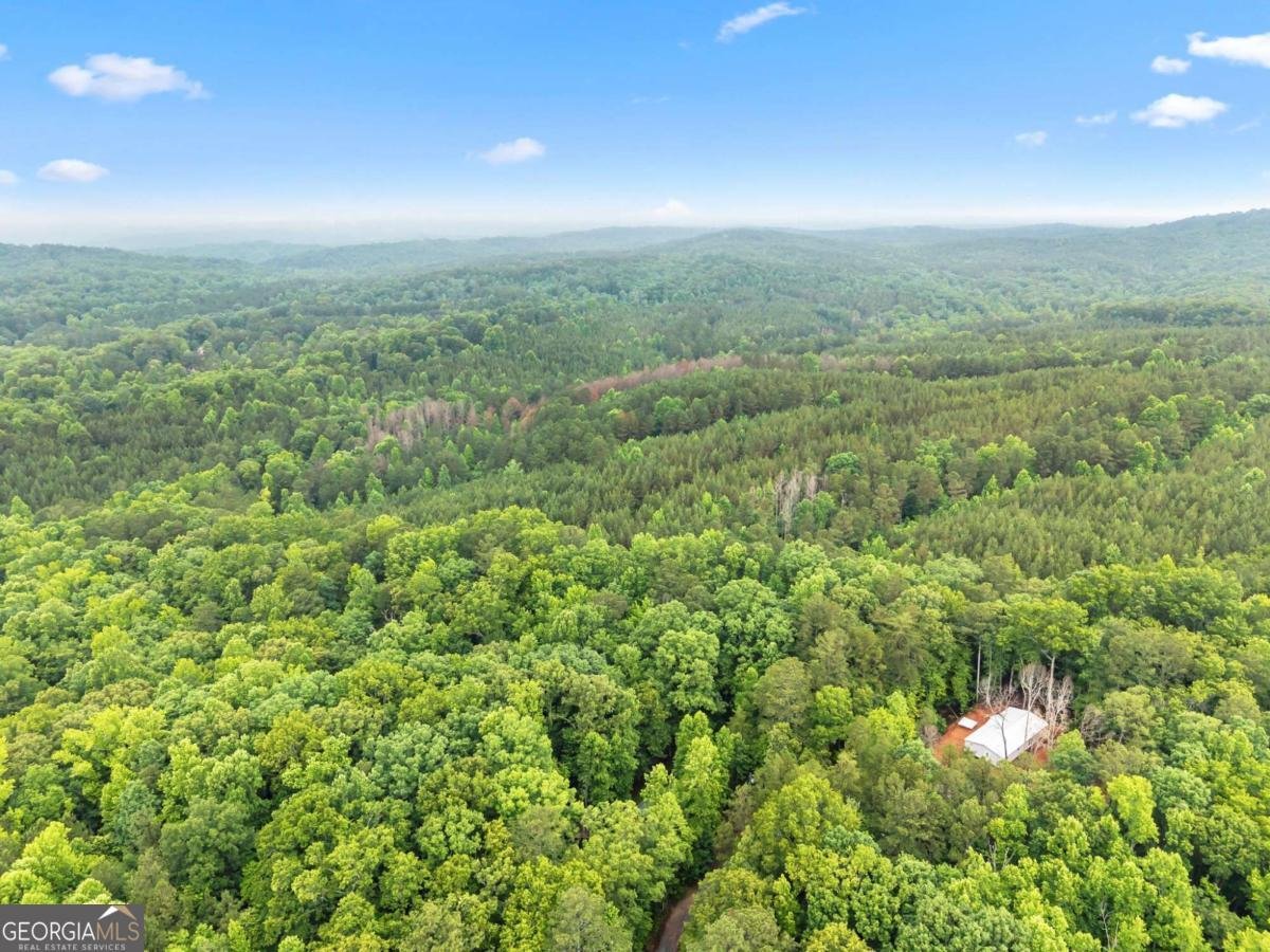 783 Berean Church Road Ellijay - Photo 29