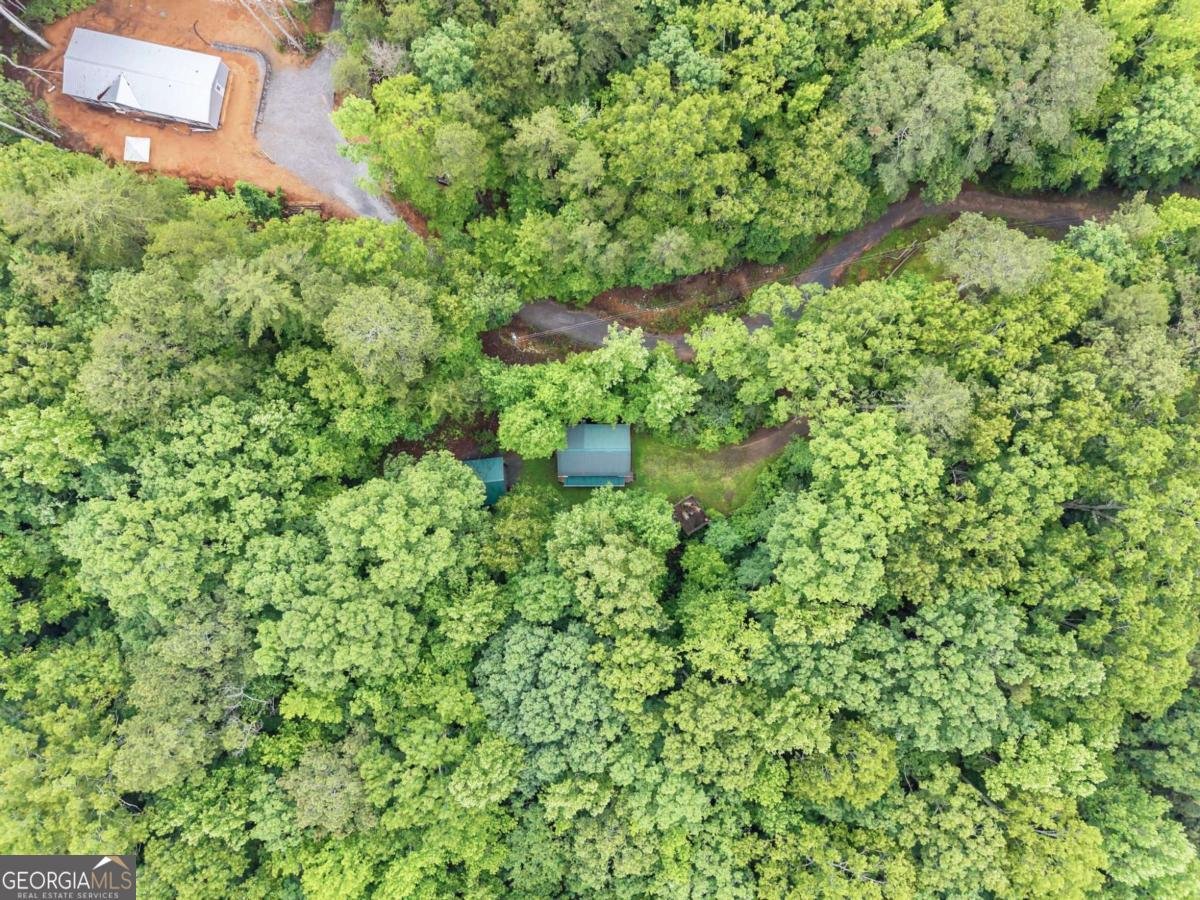 783 Berean Church Road Ellijay - Photo 30