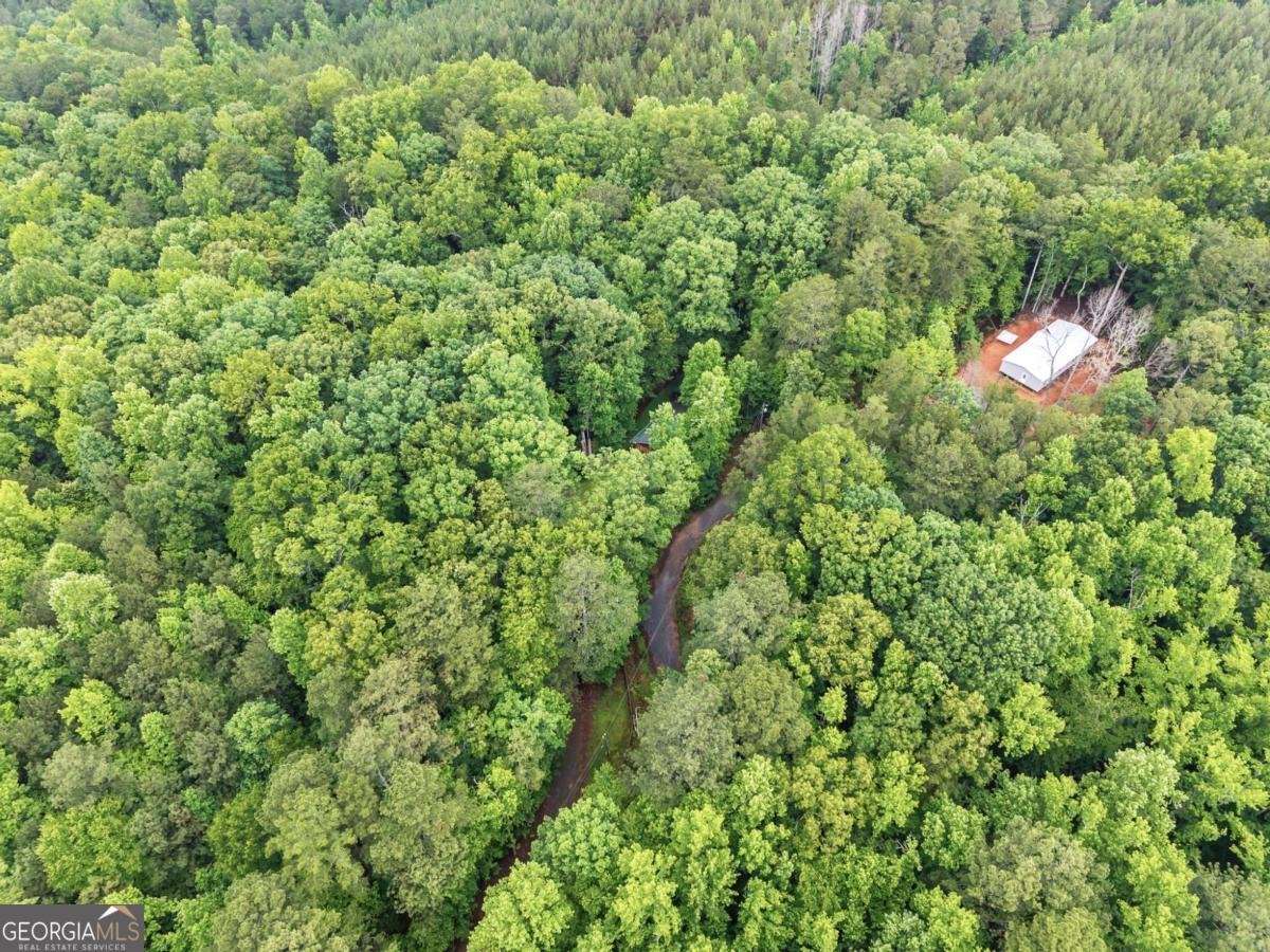 783 Berean Church Road Ellijay - Photo 31