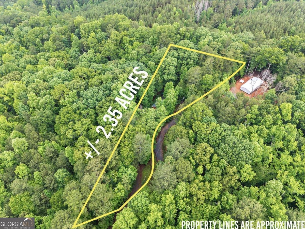 783 Berean Church Road Ellijay - Photo 32