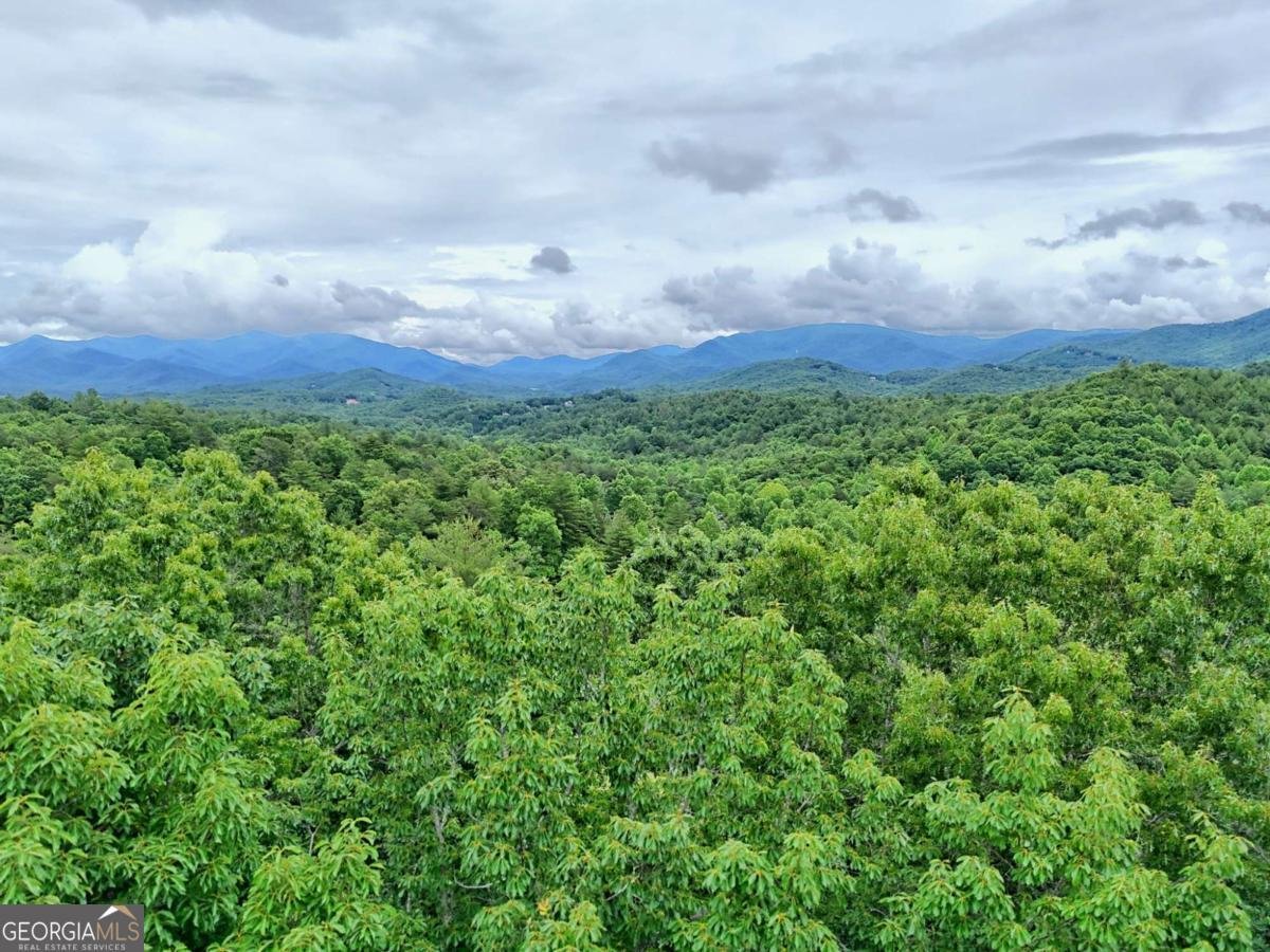 87 Greenberry Trail Blairsville - Photo 66