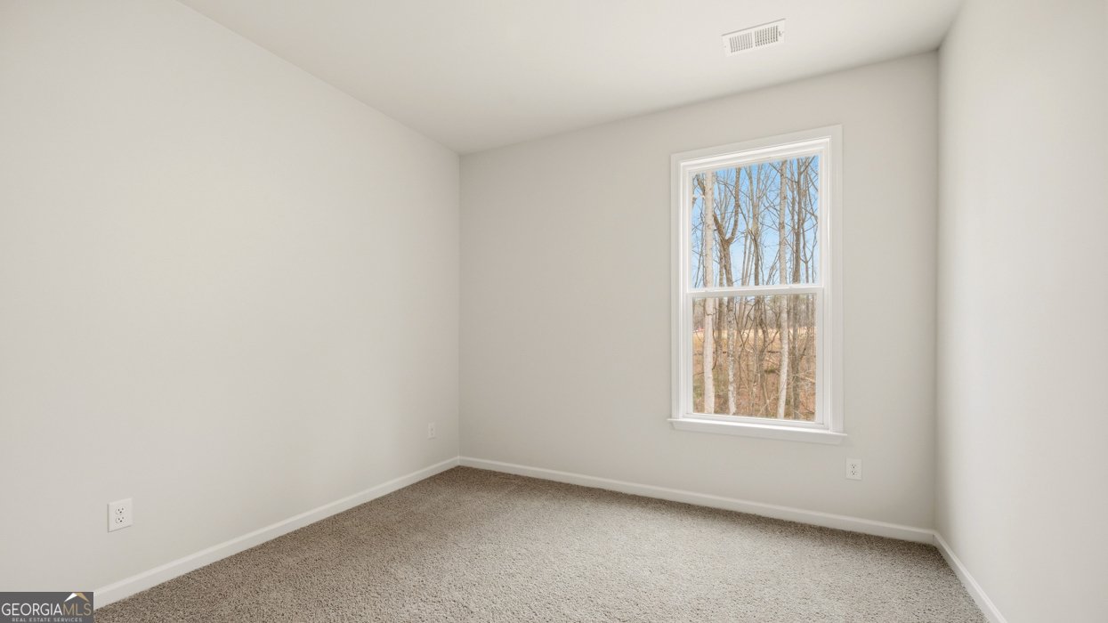 385 Staffin Drive Senoia - Photo 14