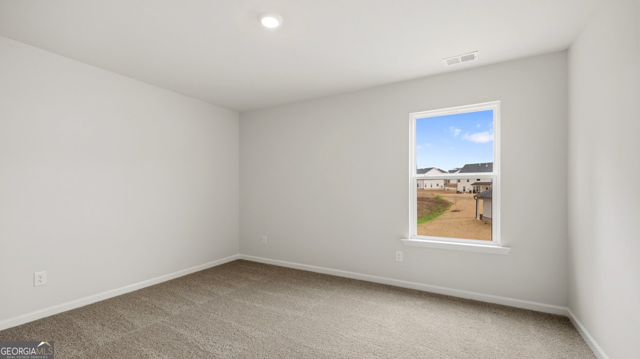 385 Staffin Drive Senoia - Photo 18