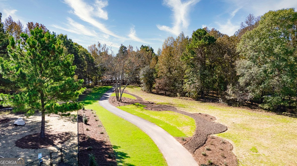 385 Staffin Drive Senoia - Photo 33