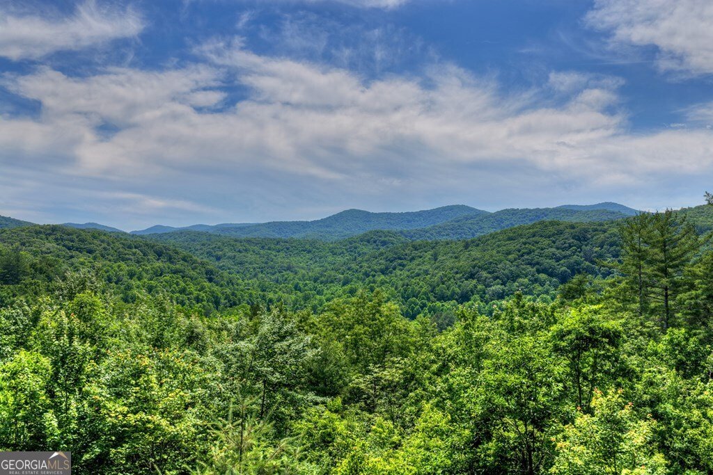 277 Hickory Nut Trail Cherry Log - Photo 12