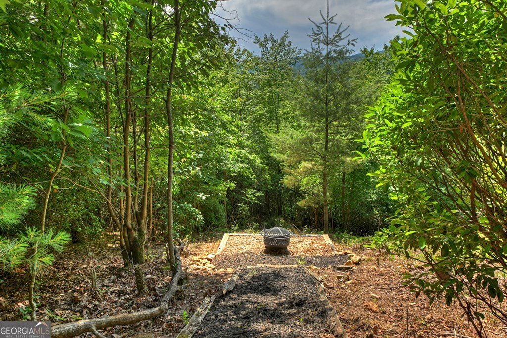 277 Hickory Nut Trail Cherry Log - Photo 24