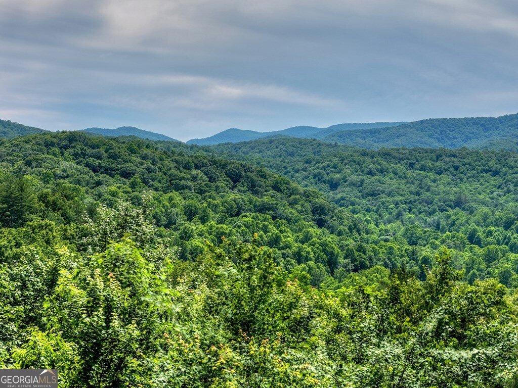 277 Hickory Nut Trail Cherry Log - Photo 38