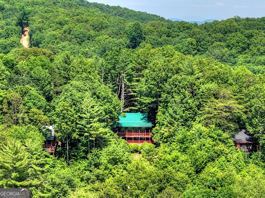 277 Hickory Nut Trail Cherry Log - Photo 43