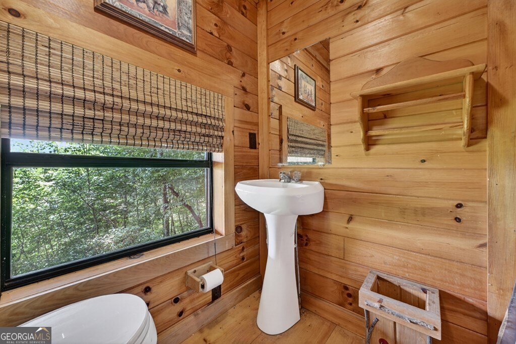 277 Hickory Nut Trail Cherry Log - Photo 46