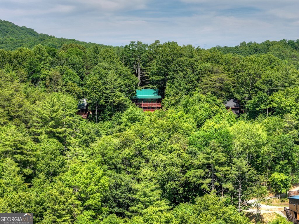 277 Hickory Nut Trail Cherry Log - Photo 47