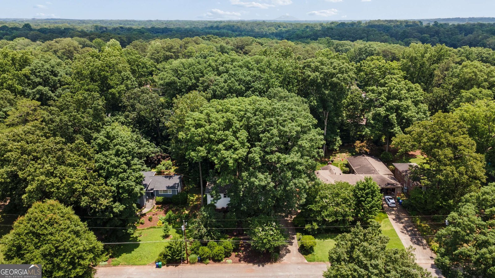 2478 Tanglewood Road Decatur - Photo 49