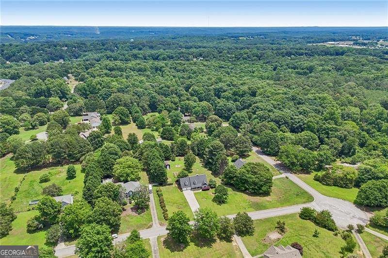 3325 Holly Stand Court Loganville - Photo 69