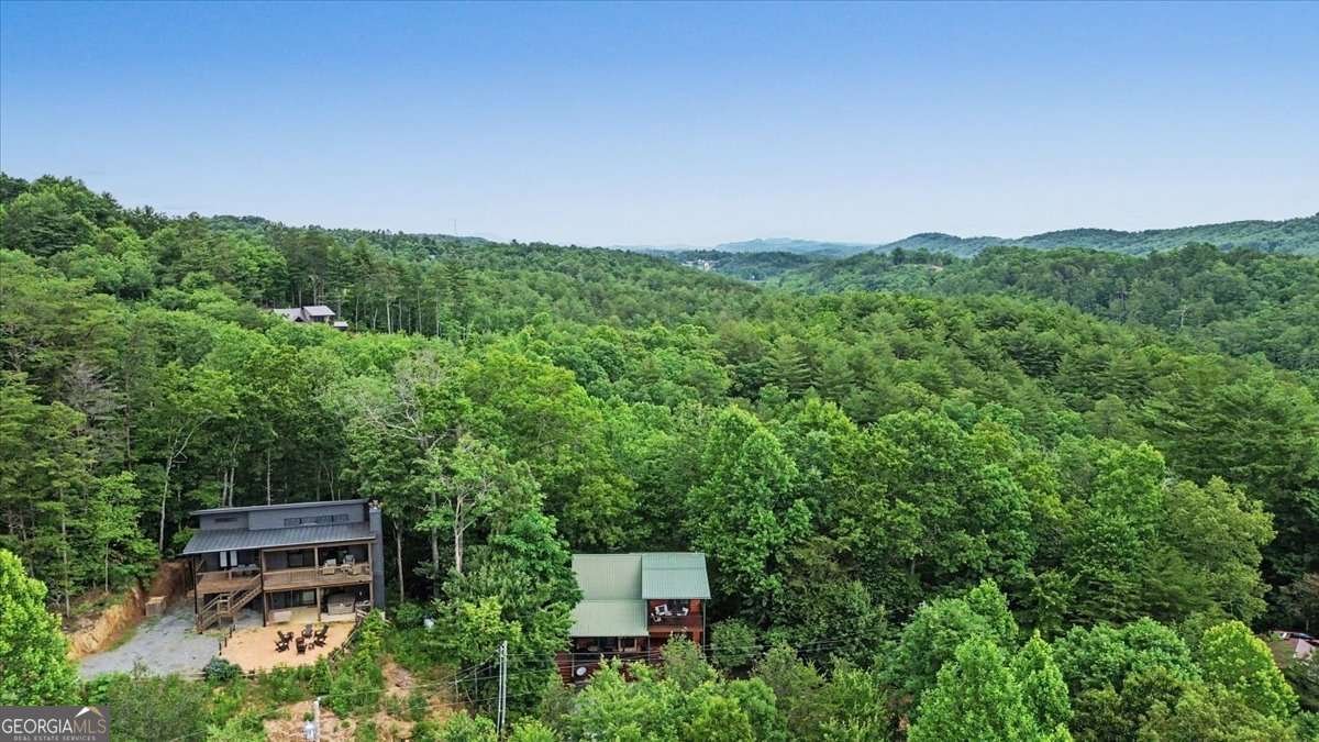 375 Dream Catcher Blue Ridge - Photo 56