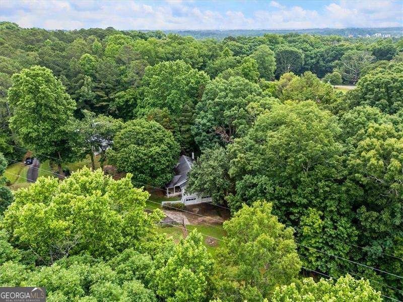 10 Dimsdale Lane Alpharetta - Photo 46