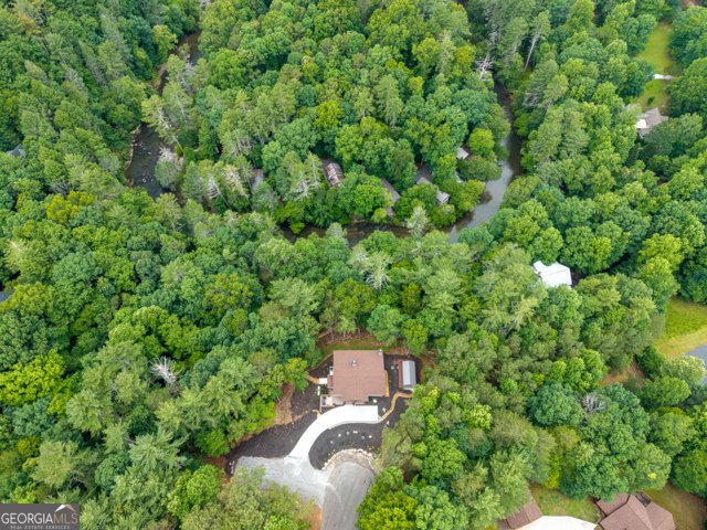 314 Lakeview Lane Ellijay - Photo 25