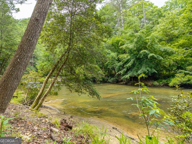 314 Lakeview Lane Ellijay - Photo 35