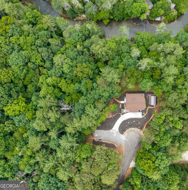 314 Lakeview Lane Ellijay - Photo 36